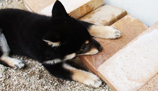 下のソーシャルリンクからフォロー