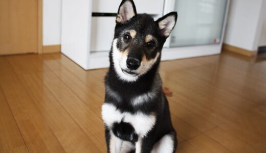 下のソーシャルリンクからフォロー
