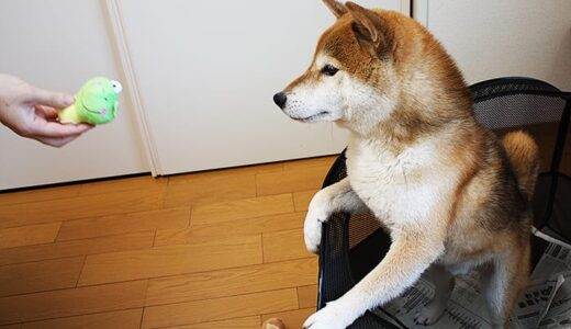 下のソーシャルリンクからフォロー