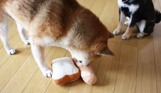下のソーシャルリンクからフォロー