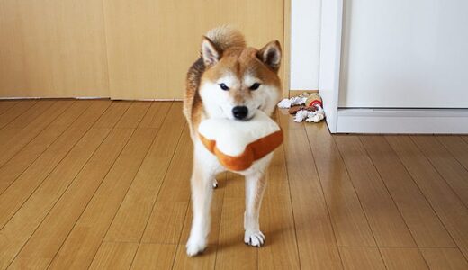 下のソーシャルリンクからフォロー