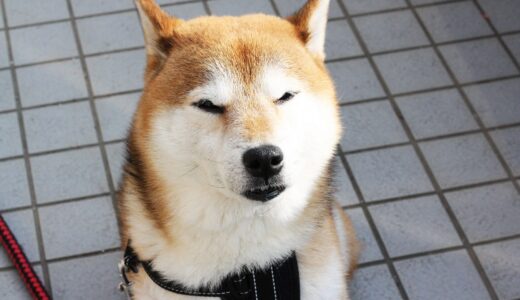 下のソーシャルリンクからフォロー