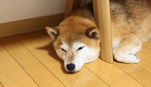 下のソーシャルリンクからフォロー