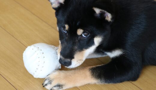 下のソーシャルリンクからフォロー