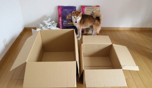 まめ家が注文した2つのユーカヌバ。アマゾンから届いた大小の送付箱。箱の大きさに基準はあるの？（まめ家のごはん）