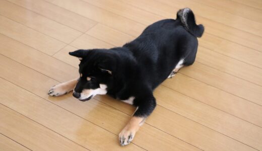 下のソーシャルリンクからフォロー