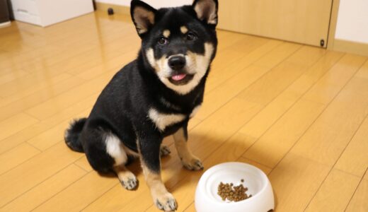 下のソーシャルリンクからフォロー