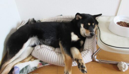 下のソーシャルリンクからフォロー