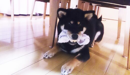 下のソーシャルリンクからフォロー