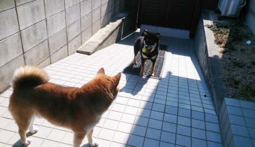 下のソーシャルリンクからフォロー