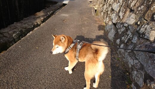 下のソーシャルリンクからフォロー