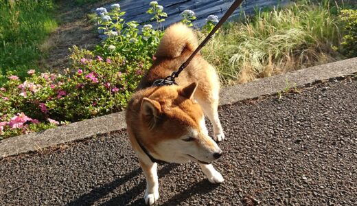 下のソーシャルリンクからフォロー