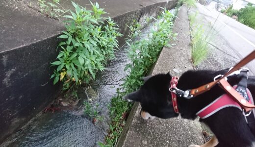 下のソーシャルリンクからフォロー
