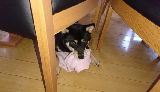 下のソーシャルリンクからフォロー