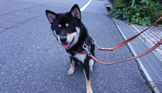 下のソーシャルリンクからフォロー