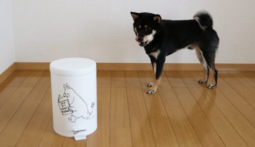 犬のいたずらを防ぐためにはフタ付きペールが必須です。