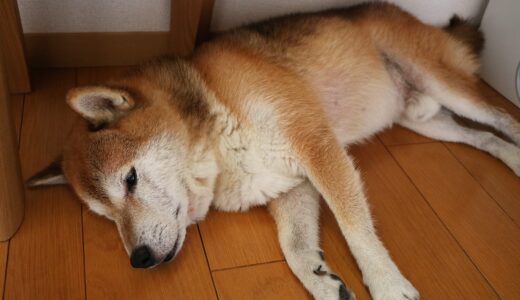 下のソーシャルリンクからフォロー