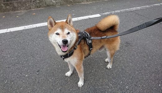 下のソーシャルリンクからフォロー