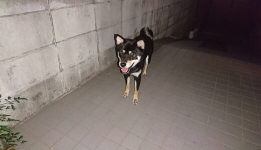 下のソーシャルリンクからフォロー