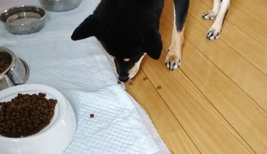下のソーシャルリンクからフォロー