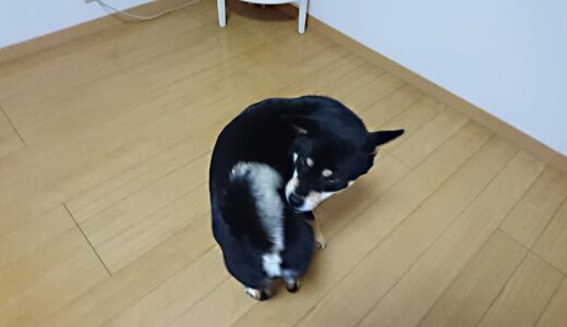 下のソーシャルリンクからフォロー