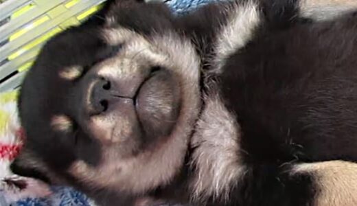 下のソーシャルリンクからフォロー