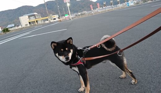 下のソーシャルリンクからフォロー