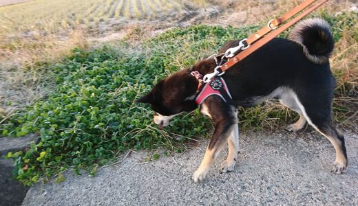 下のソーシャルリンクからフォロー