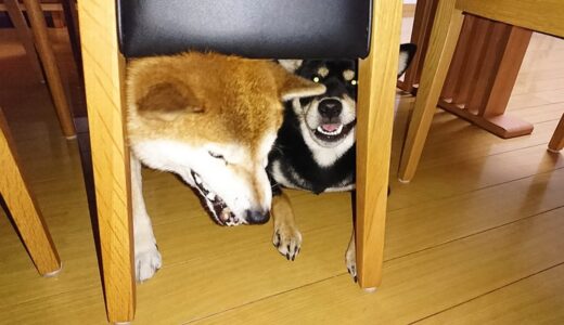 なんでこんな所に二人で入っているの？