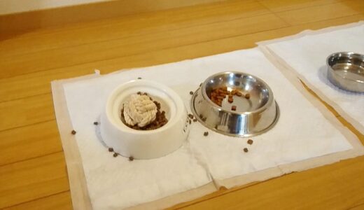 こんなところにボールを入れたのは誰ですか？