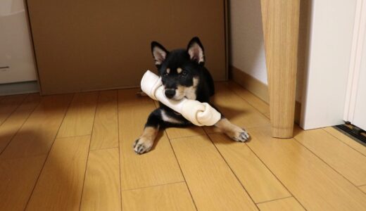 下のソーシャルリンクからフォロー