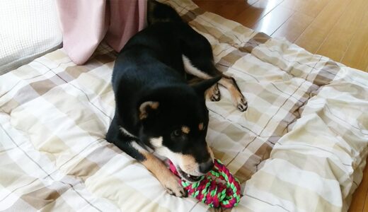 下のソーシャルリンクからフォロー
