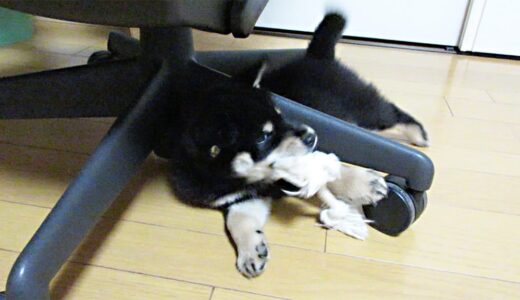 下のソーシャルリンクからフォロー