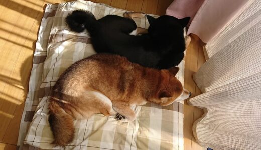 下のソーシャルリンクからフォロー