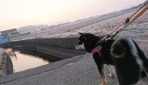 朝陽がくっきり見えた日