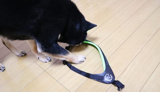 調節可能な新しいトレポンティ