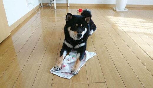 床をぞうきんがけしてくれる？