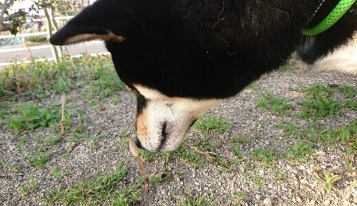 下のソーシャルリンクからフォロー