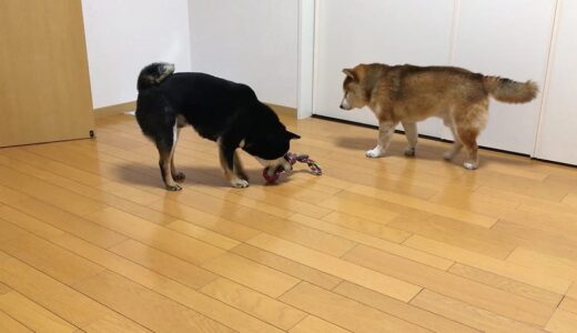 ロープボールを振り回すと危険です。