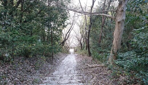 桜舞い散る参道を通って、黒柴 大福まめと近くの神社へ