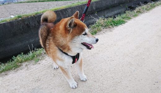 下のソーシャルリンクからフォロー