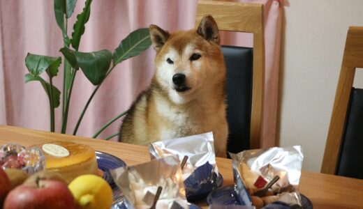 下のソーシャルリンクからフォロー