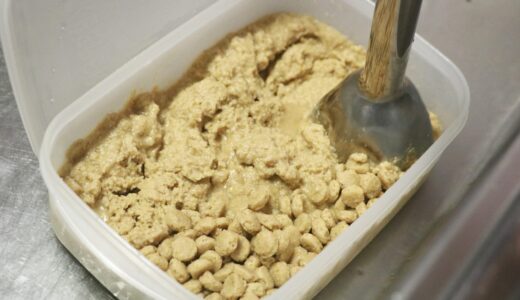 老柴犬 空まめの介護：ドッグフードで流動食をつくる（動画あり）