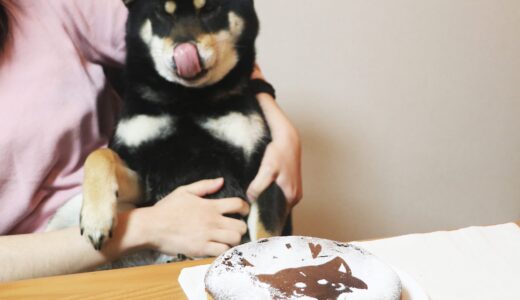 下のソーシャルリンクからフォロー