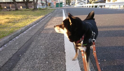 下のソーシャルリンクからフォロー
