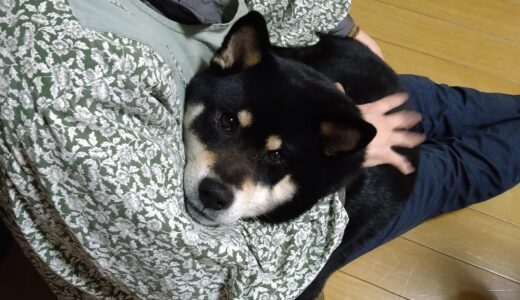 2022年寅年のお正月